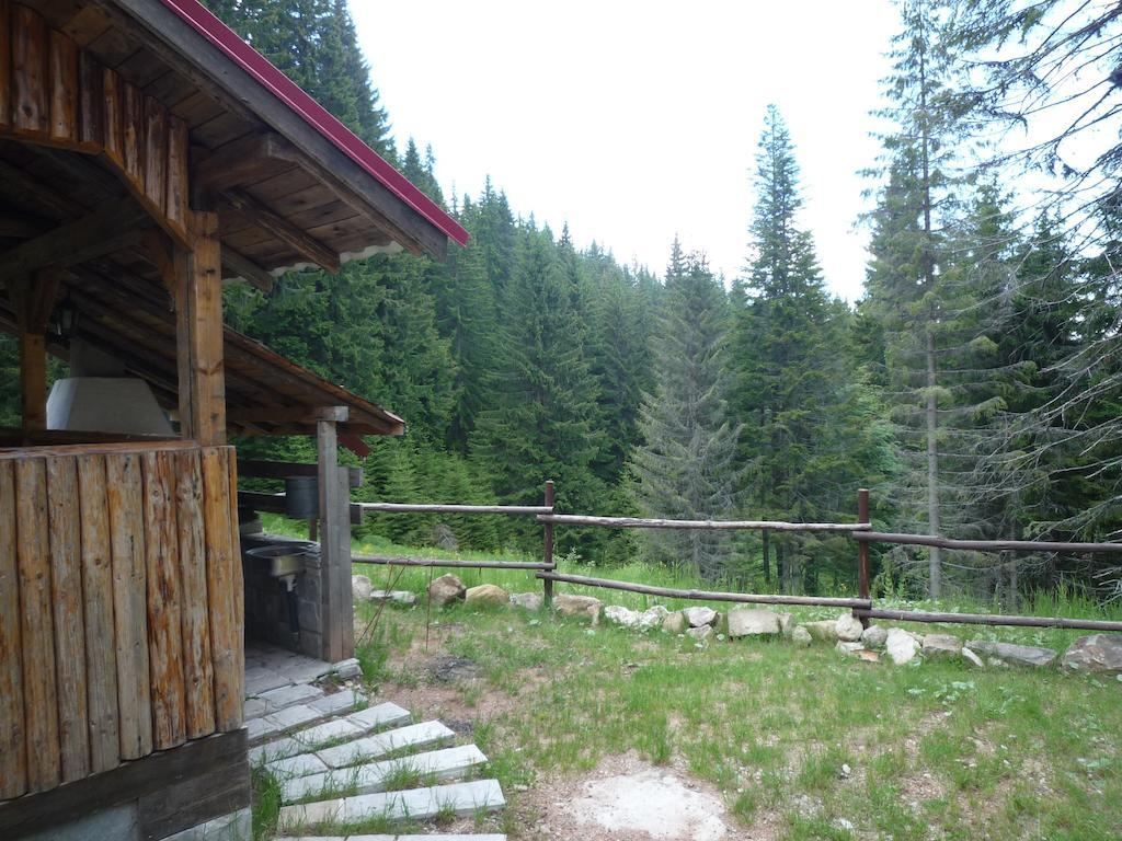 Ski Apartment In Castle Complex Пампорово Номер фото